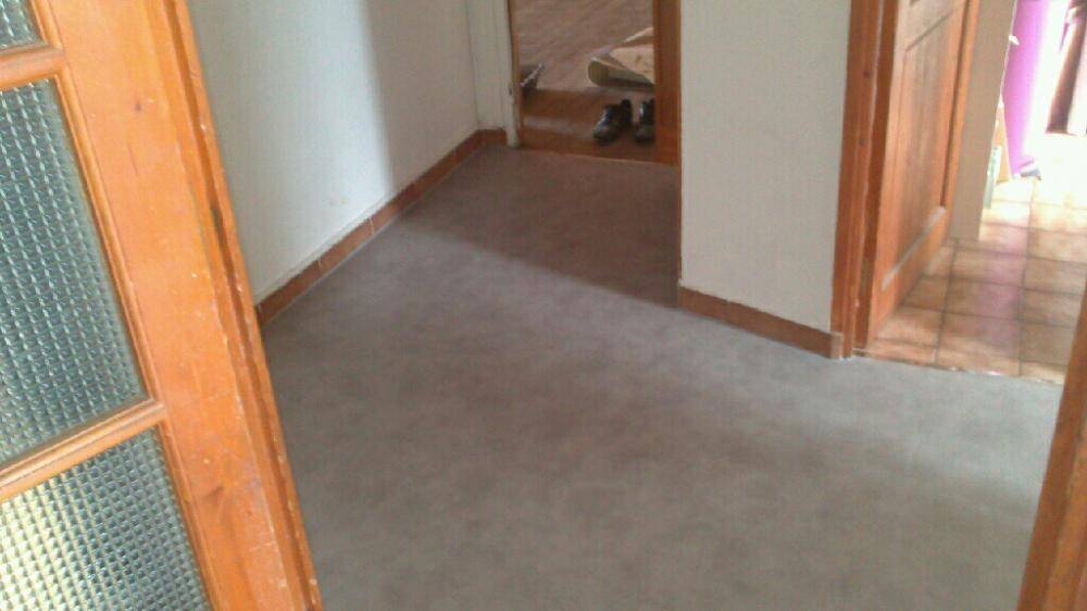 moquette (2)